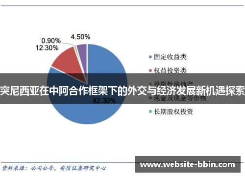 突尼西亚在中阿合作框架下的外交与经济发展新机遇探索